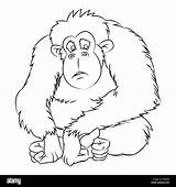 Ape Orangutan Bozzetto Isolato Linea Fumetto Tracciata Animado sketch template