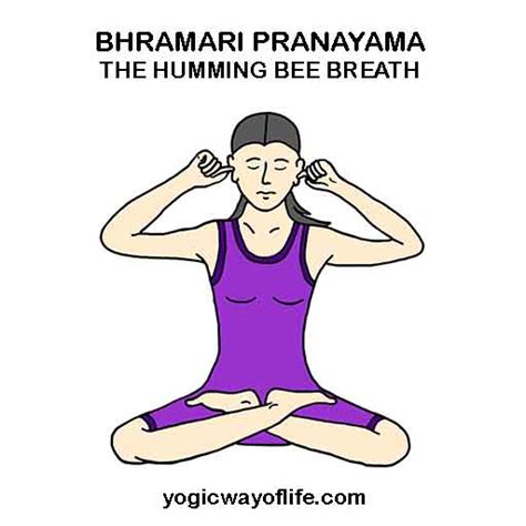 bhramari pranayama  humming bee breath