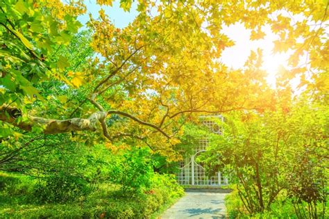 rustige lente landschap groen groene ochtend gratis foto