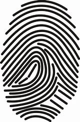 Fingerprint Biometrics Vector Apple Biometric Use M2sys Transparent Background Iris Boon Industry Security Why Pattern Scanner Graphics Modality Entire Modalities sketch template