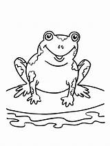 Coloring Dressed Pages Getdrawings Getting Frog Gets sketch template