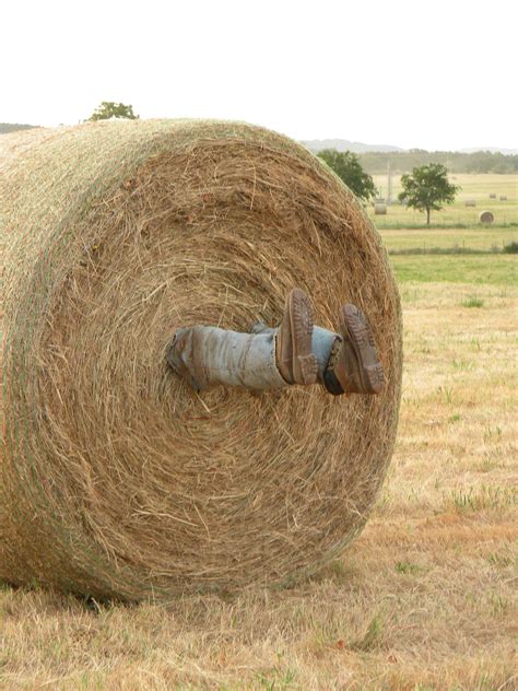 dad cracks    put      hay bales sitting