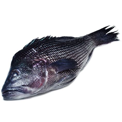 Order Local Whole Wild Black Sea Bass Fast Delivery