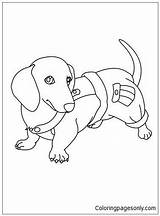 Dachshund Pages Puppy Coloring Color sketch template