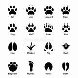 Paw Footprints Footprint Traces sketch template