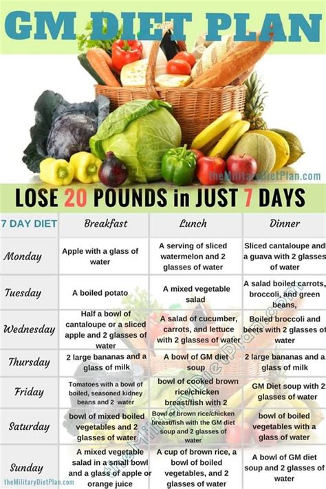 gm diet plan lose  pounds    days gmdiet