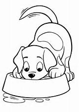 Dog Coloring Pages Drinking Water sketch template