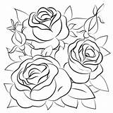 Rose Supercoloring sketch template