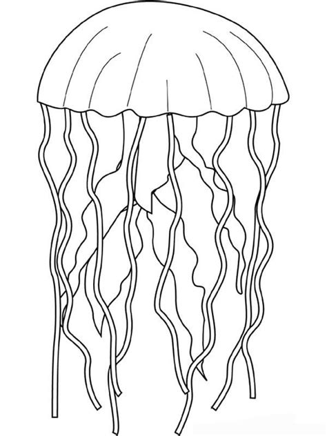 cute jellyfish coloring page pictures colorist