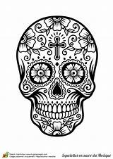 Mort Tete Mexicain Squelette Crane Mexicaine Sugar Hugo Sucre Calaveras Escargot Multiples Crâne Tatouage Mexicanas Calavera Tête Muertos Caveira Calaveritas sketch template