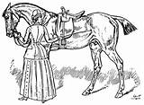 Horsemanship Theequinest sketch template