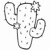 Cactus Coloring Blooming Pages Surfnetkids sketch template