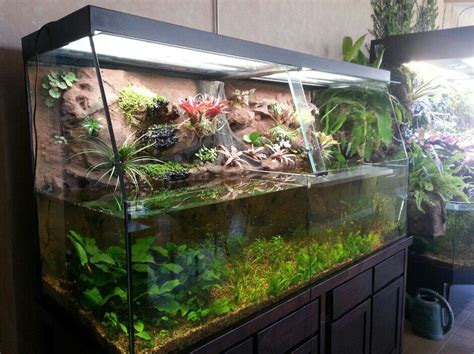 frog tank prototype dendroboard aquarium diy aquarium diy