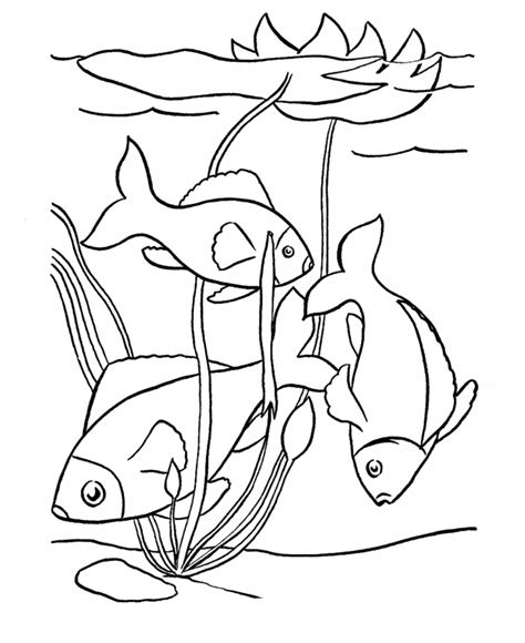 tropical fish coloring page  kids coloring home