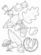 Herbst Malvorlage Leaves Herfst Kleurplaten Stimmen sketch template
