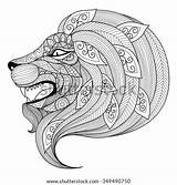 Coloring Lion Adult Drawing Zentangle Angry Stock Book Vector Drawn Hand Puppy Illustration Mandala Pages Para Colorear Pic Coloriage Animal sketch template