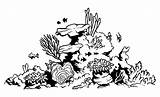 Coral Reef Drawing Coloring Easy Tank Fish Pages Drawings Clipart Color Barrier Draw Great Choose Board Kids Getdrawings Paintingvalley Kidsplaycolor sketch template