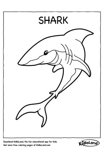 shark coloring page  educational activity worksheets