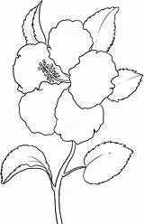 Flower Hibiscus Coloring Pages Printable Hawaii State Flowers Kids Colouring Print Drawing Color Sheets Drawings Draw Visit Tree Popular sketch template