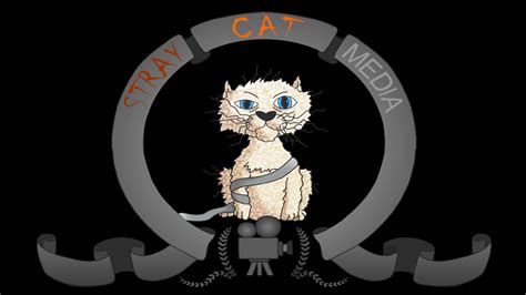 stray cat media intro youtube