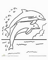 Dolphin Dolphins Mewarnai Lumba Delfin Animals Malvorlagen Printable Leaping Tiere Ausmalbilder Crayon Malvorlage Kidsworksheetfun Zeichnen Lukisan Playa Mudah sketch template