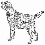 Thecottagemarket Labrador sketch template