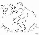 Bear Coloring Cub Pages Coloringbay sketch template