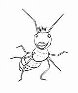 Ned Miss Spider Coloring Printable sketch template