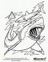 Coloring Shark Pages Printable Print Sharks Megalodon Jaws Hungry Evolution Adults Kids Scary Color Cartoon Drawing Tiger Bestcoloringpagesforkids Life Great sketch template