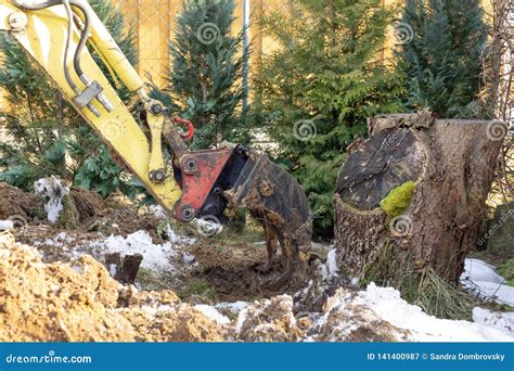 excavator works   garden removing  root stock image image  power garden