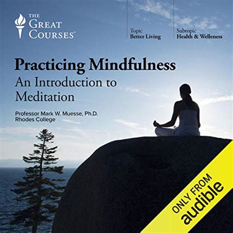 Practicing Mindfulness An Introduction To Meditation Audio Download