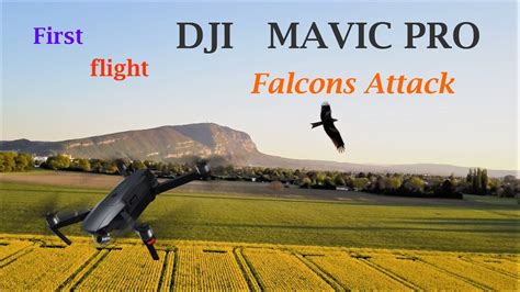 falcons attack  drone youtube