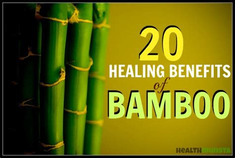 healing benefits  bamboo remedygrove