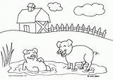 Coloring Farm Pages Animal Popular sketch template