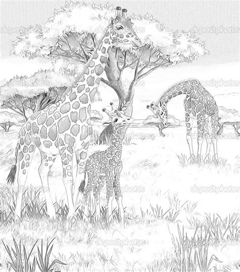 adult coloring pages safari   adult coloring pages