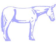 cowboy clip art clip art donkey drawing mules