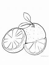 Grapefruit Riscos Almofadas Artesanais sketch template