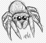Spider Sketsa Serangga Lucas Doodle sketch template