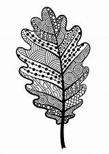 Feuille Zentangle Arbre Graphisme Chêne Zentangles Děti Omalovánky Faciles Zdroj Pinu Noire sketch template