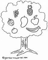 Mewarnai Tanaman Pohon Buah Buahan Buku sketch template