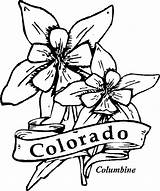 Coloring Columbine Flower Colorado Pages Flowers State Drawing Drawings Clipart Printable Kids Hibiscus Cliparts Sheets Library Template Central sketch template