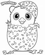 Coloring Hatchimals Pages Hatchimal Hamster Kids Colleggtibles Colouring Printable Sheets Print Tsgos Animal Bestcoloringpagesforkids Choose Board sketch template