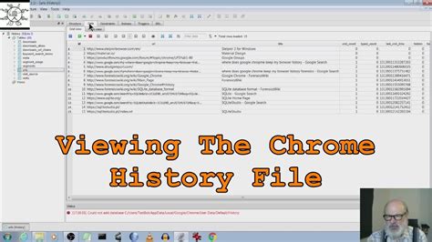viewing  chrome history file youtube