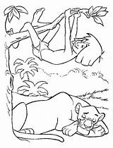 Dschungelbuch Mowgli Coloriages Junglebook Kleurplaten Libro Disneymalvorlagen Selva Sauvages Kleurplaat Malbuch Jungs Colorear Disneykleurplaten Bagheera Gioca Dorme Disneydibujos Malvorlage Animaatjes sketch template