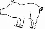 Pig Outline Coloring Pages Drawing Clipart Cliparts Clip Color Supercoloring Printable sketch template