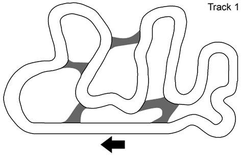 printable printable race track template