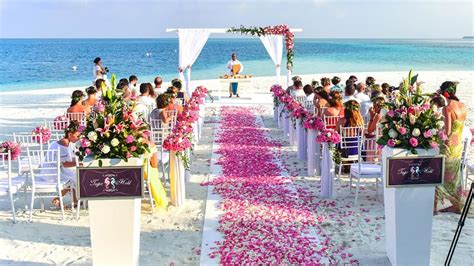destination weddings  check    resorts  india