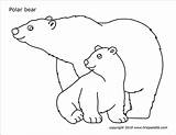 Polar Bear Printable Coloring Firstpalette Pages Templates Cub sketch template