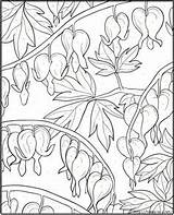 Coloring Pages Bleeding Heart Flower Color Colorir Dover Number Book Floral Hearts Para Creative Colouring Desenhos Publications Adult Welcome Flowers sketch template
