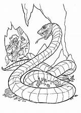 Snake Serpiente Caccia Serpente Segugio Colorkid Gigante sketch template
